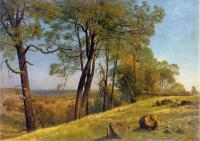 Bierstadt, Albert - Landscape Rockland County California